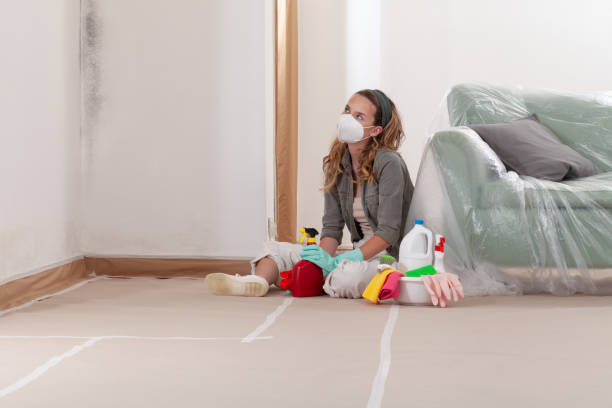 Reliable Black Mold Remediation contractor in Bryantown, MD by Mold Remediation HQ